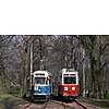 DSCF6728.jpg