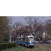 DSCF6735.jpg