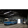 DSCF7020.jpg