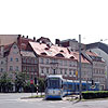 DSCF7166.jpg