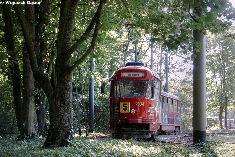 DSCF7230.jpg