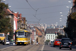 DSCF7499.jpg