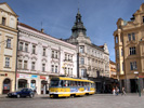 DSCF7503.jpg