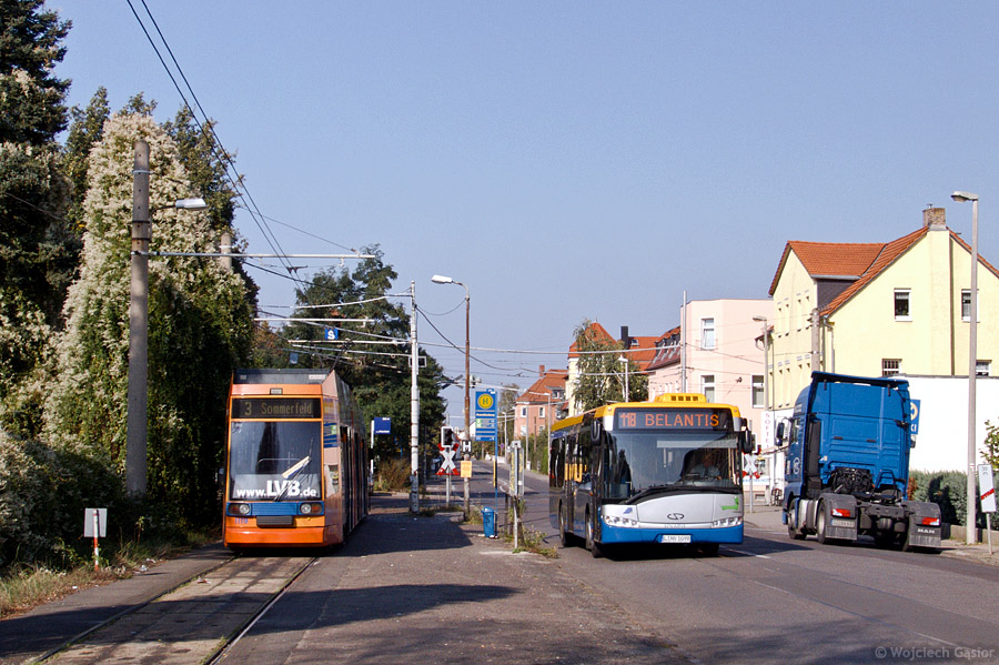 DSCF7654.jpg