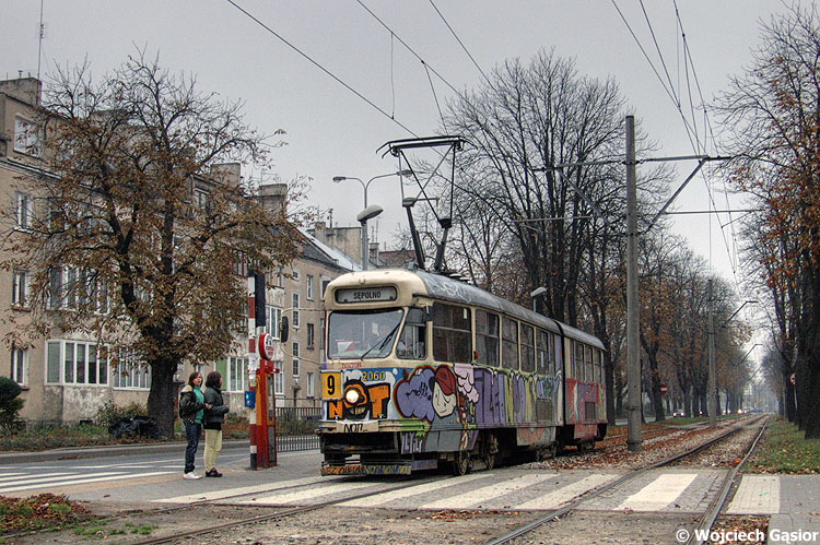 DSCF7842.jpg