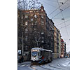 DSCF7975.jpg