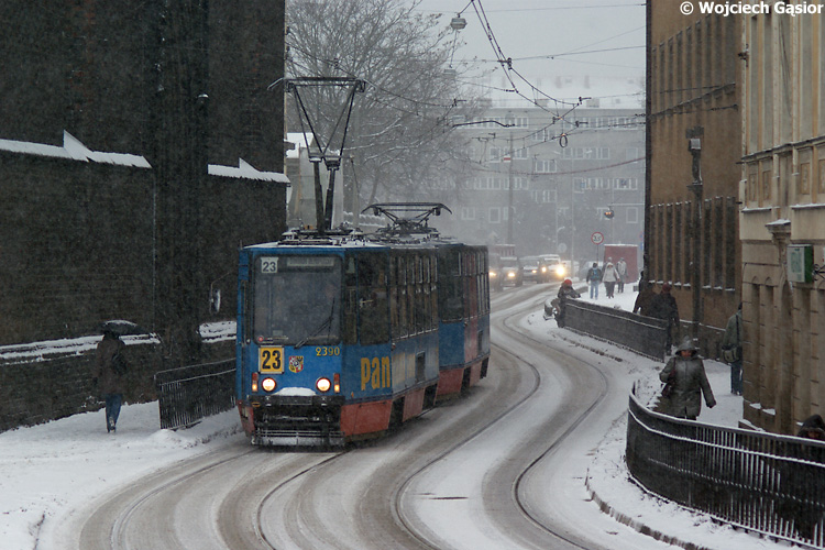 IMGP0211.jpg