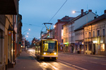 IMGP0436.jpg