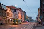 IMGP0440.jpg