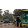 IMGP0648-2.jpg