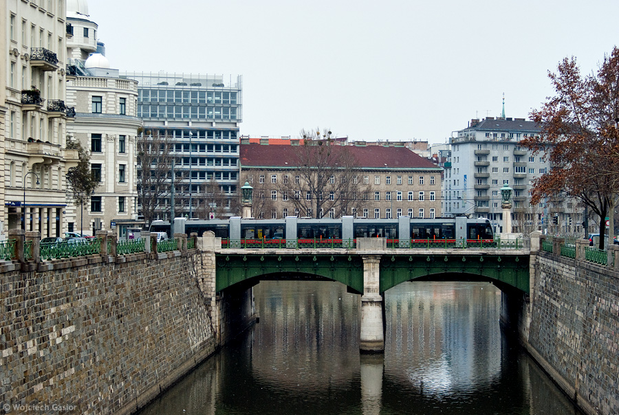 IMGP1039.jpg