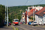 IMGP2086.jpg