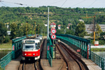 IMGP2117.jpg