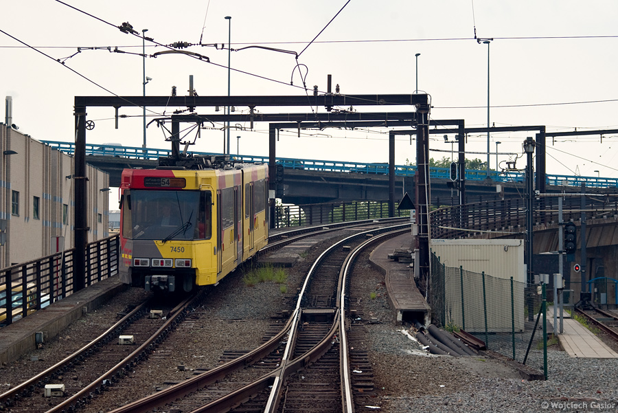 IMGP3220.jpg