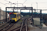 IMGP3220.jpg