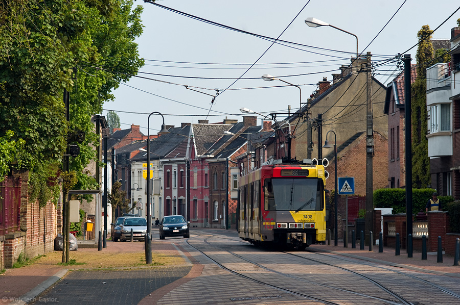 IMGP3235.jpg