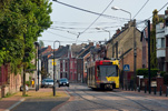 IMGP3235.jpg