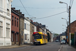 IMGP3241.jpg