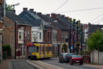 IMGP3247.jpg