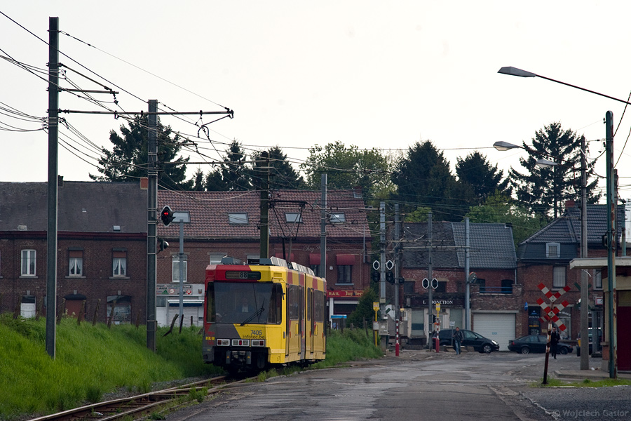 IMGP3258.jpg
