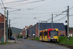 IMGP3268.jpg
