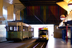 IMGP3284.jpg
