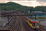 IMGP3288.jpg