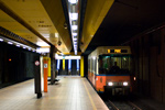 IMGP3322.jpg