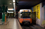 IMGP3330.jpg