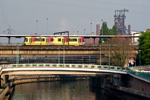 IMGP3345.jpg