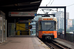 IMGP3359.jpg