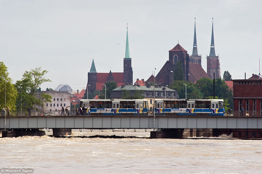 IMGP3789.jpg