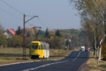 IMGP4781-1.jpg