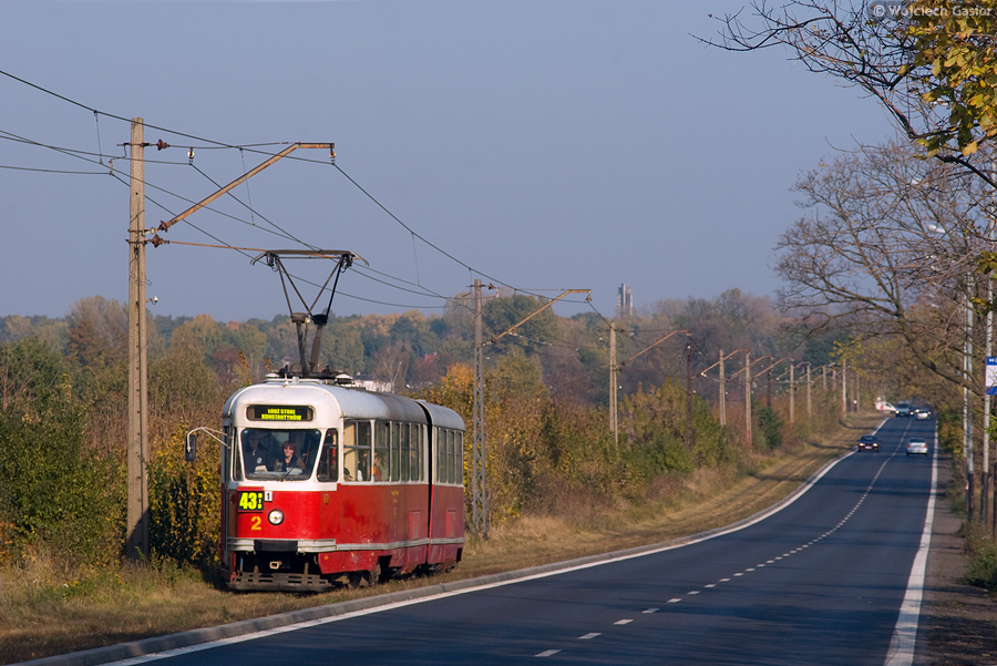 IMGP4817.jpg