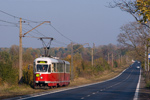IMGP4817.jpg