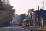 IMGP4828.jpg