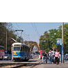 IMGP5511.jpg