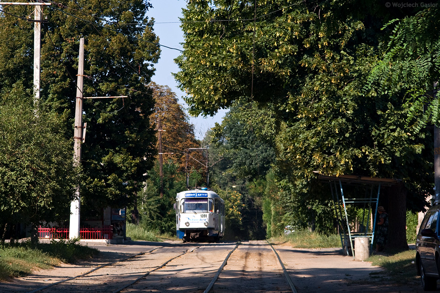 IMGP5548.jpg