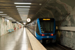 IMGP5703.jpg