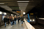 IMGP5730-1.jpg