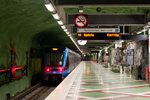 IMGP5785-1.jpg