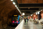 IMGP5805-1.jpg