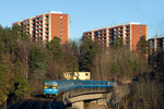 IMGP5863-1.jpg