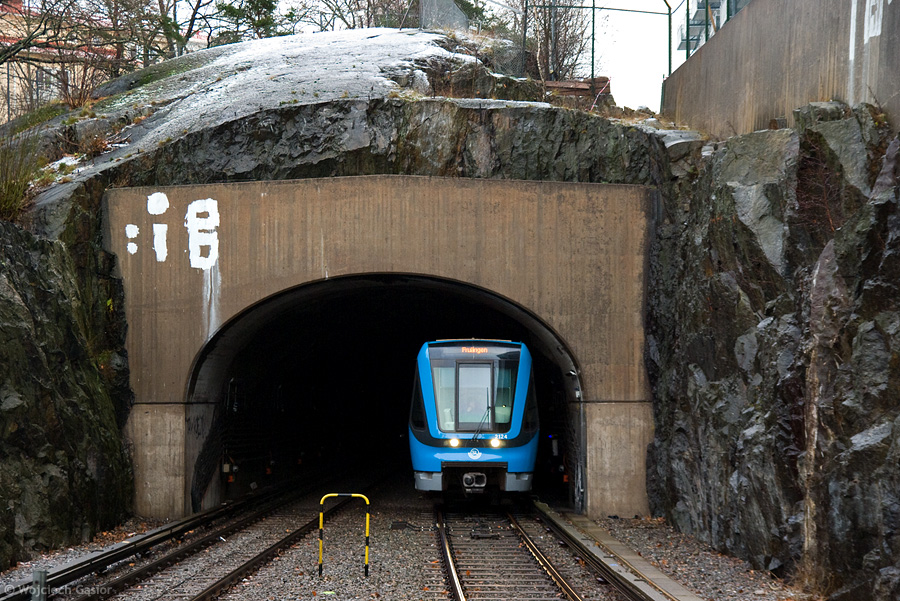 IMGP6046.jpg