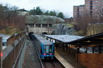 IMGP6129.jpg