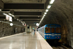 IMGP6183.jpg