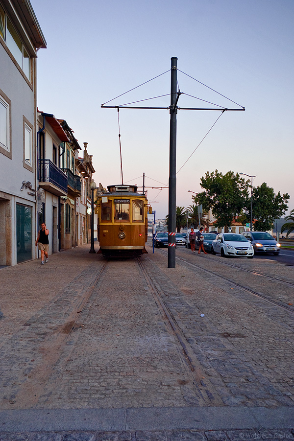 IMGP6799.jpg