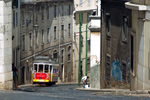 IMGP7300.jpg