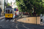 IMGP7315.jpg
