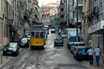 IMGP7367-1.jpg